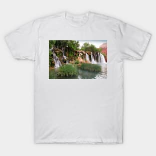 Navajo Falls T-Shirt